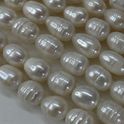 Rice Cultured Freshwater Pearl Beads, DIY, white, 10-11mm, Approx 
