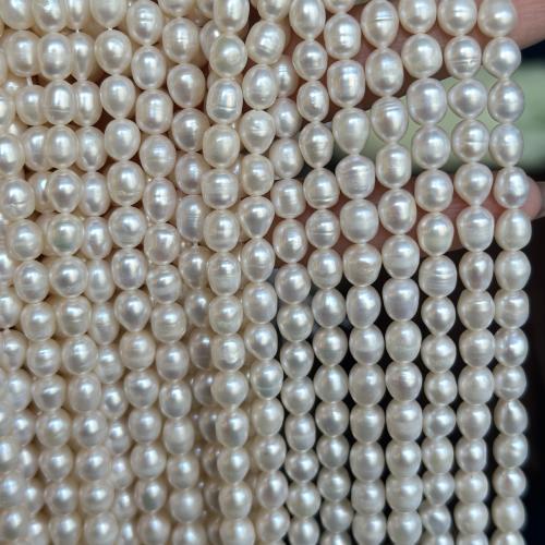 Rice Cultured Freshwater Pearl Beads, DIY, white, 6-7mm Approx 35 cm 