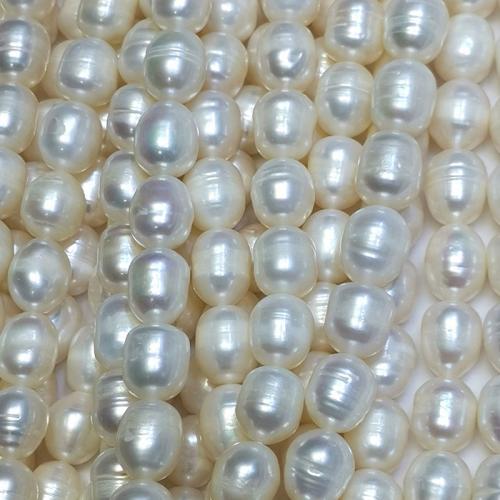Rice Cultured Freshwater Pearl Beads, DIY, white, 9-10mm Approx 37 cm 