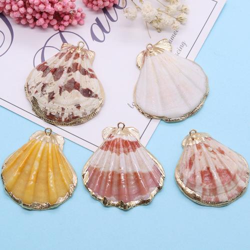 Brass Shell Pendants, with Brass, gold color plated, fashion jewelry & DIY, mixed colors, Length about Hight about 