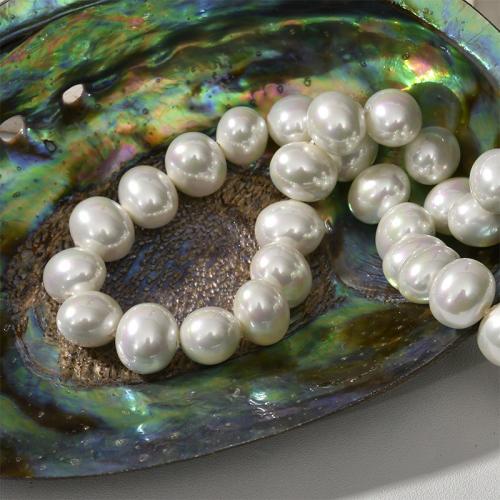 South Sea Shell Beads, Shell Pearl, DIY white 