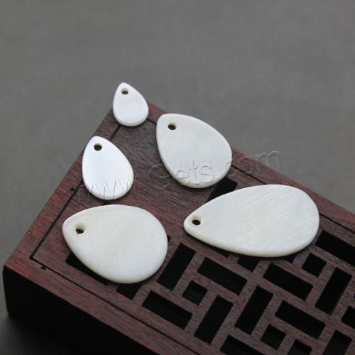 Natural Freshwater Shell Pendants, Teardrop, DIY white, Approx 