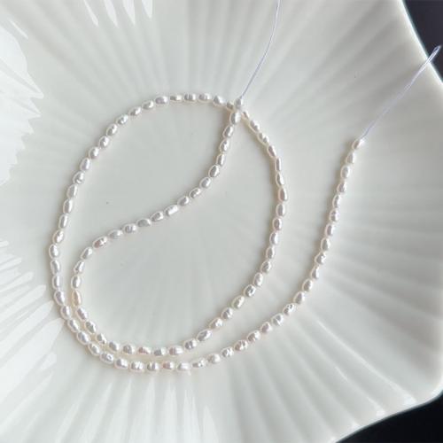 Barock kultivierten Süßwassersee Perlen, Natürliche kultivierte Süßwasserperlen, DIY, weiß, 2-3mm, Länge:ca. 37 cm, verkauft von Strang