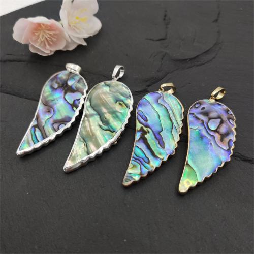 Abalone Shell Pendants, with Brass, Wing Shape, plated, random style & fashion jewelry & DIY, mixed colors 