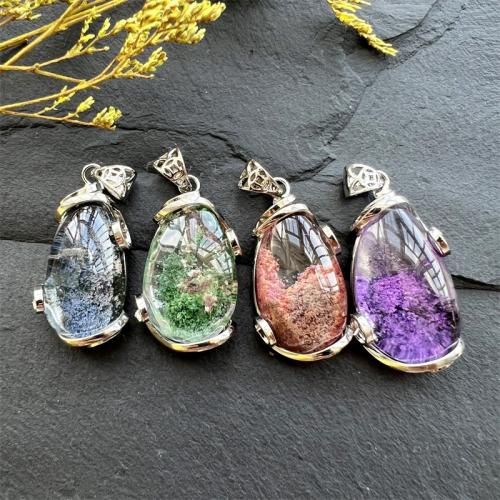 Glass Brass Pendants, with Dried Flower & Brass, silver color plated, random style & DIY & mixed, mixed colors 