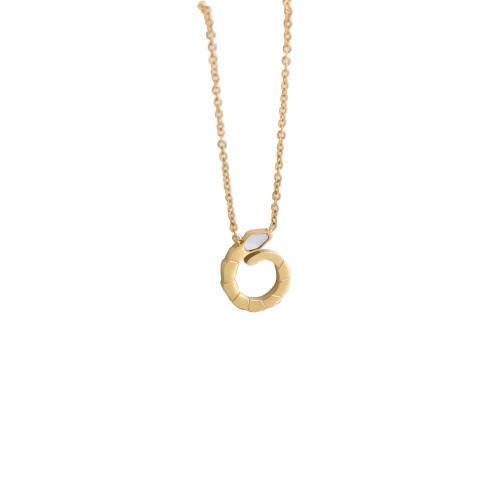 Collier de bijoux de titane, Acier titane, avec coquille blanche, avec 6CM chaînes de rallonge, Placage ionique sous vide, pour femme, doré Environ 45 cm, Vendu par PC
