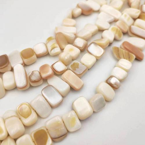 Perles en coquille naturel, pepite, poli, DIY, couleurs mélangées, Length about 6-9mm Environ 38 cm, Vendu par brin