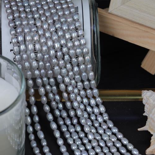 Rice Cultured Freshwater Pearl Beads, DIY, grey, Length about 3.5-4mm Approx 36 cm 