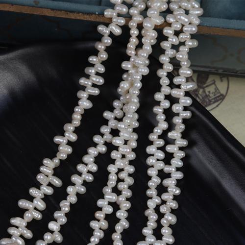 Rice Cultured Freshwater Pearl Beads, DIY, white, Length about 3-3.5mm Approx 40 cm 