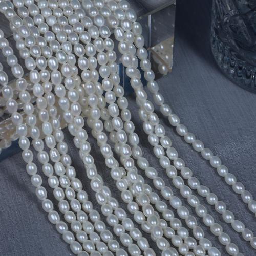 Rice Cultured Freshwater Pearl Beads, DIY, white, 4.5mm Approx 38 cm 