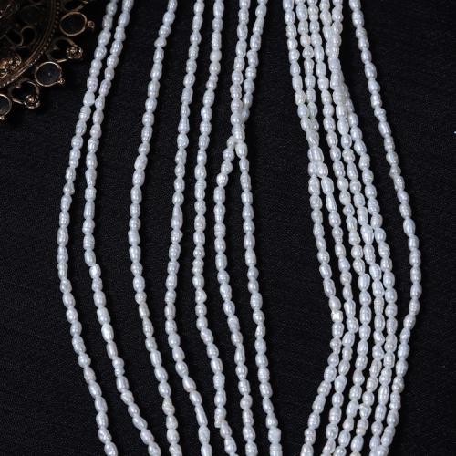 Rice Cultured Freshwater Pearl Beads, DIY, white, Length about 2-2.5mm Approx 37 cm 