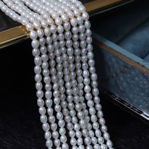 Rice Cultured Freshwater Pearl Beads, DIY, white, Length about 3-3.5mm Approx 38 cm 