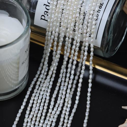 Rice Cultured Freshwater Pearl Beads, DIY, white, Length about 2-2.5mm Approx 38 cm 