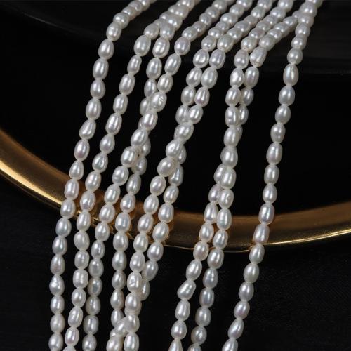 Rice Cultured Freshwater Pearl Beads, DIY, white, 2.5mm Approx 37 cm 