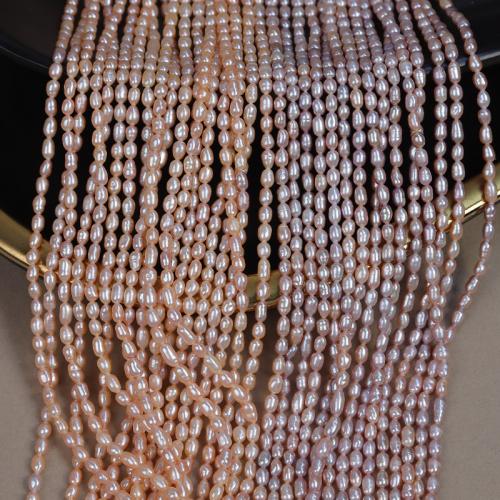 Rice Cultured Freshwater Pearl Beads, DIY 3mm Approx 38 cm 