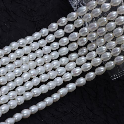 Rice Cultured Freshwater Pearl Beads, DIY, white, 7mm Approx 36 cm 