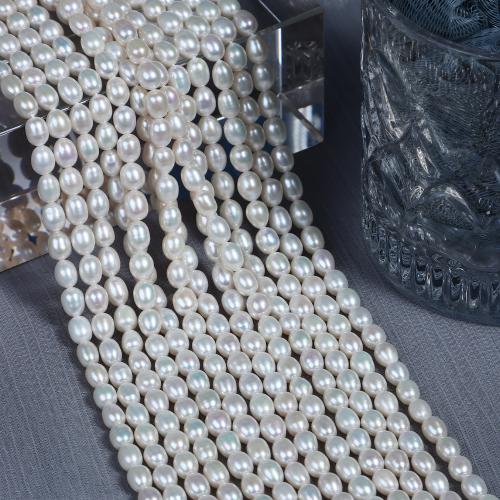 Rice Cultured Freshwater Pearl Beads, DIY, white, Length about 5-6mm Approx 37 cm 
