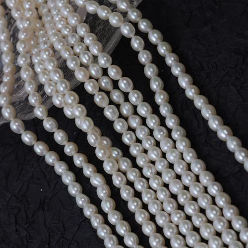Rice Cultured Freshwater Pearl Beads, DIY, white, 6mm Approx 37 cm 
