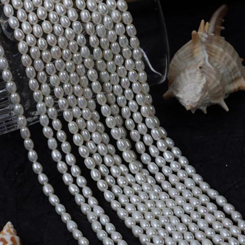Rice Cultured Freshwater Pearl Beads, DIY, white, 4mm Approx 37 cm 