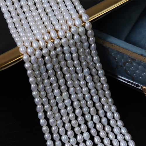 Rice Cultured Freshwater Pearl Beads, DIY, white, Length about 3.5-4mm Approx 36 cm 