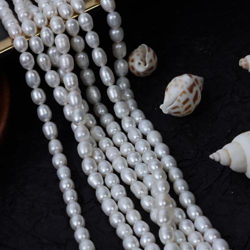 Rice Cultured Freshwater Pearl Beads, DIY, white, 6mm Approx 35-36 cm 