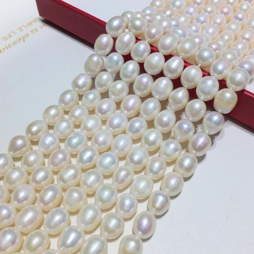 Rice Cultured Freshwater Pearl Beads, DIY, white, Length about 10-11mm Approx 40 cm 