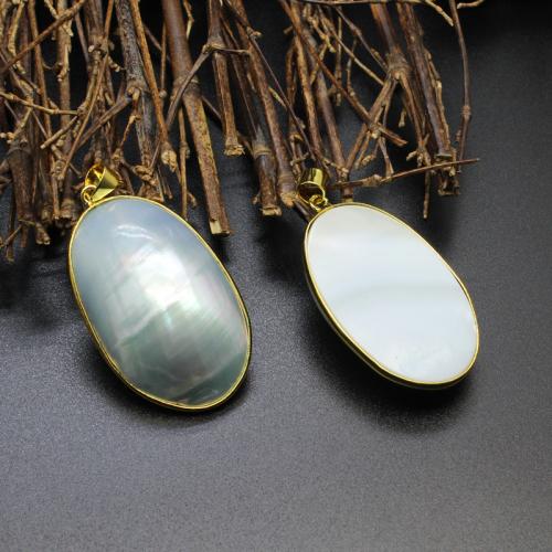 Brass Shell Pendants, with Brass, Oval, gold color plated, DIY 