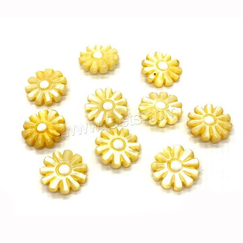 Dyed Shell Beads, Freshwater Shell, Flower, DIY Approx 