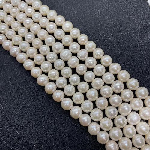 Naturel d'eau douce perles, perle d'eau douce cultivée, Rond, DIY & normes différentes pour le choix, blanc Environ 38 cm, Vendu par brin[