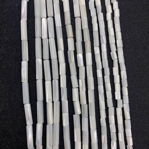 Perles de coquille de mer, coquillage, tube, DIY & normes différentes pour le choix, blanc Environ 38 cm, Vendu par brin