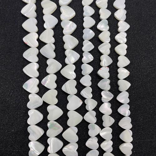 Perles de coquille de mer, coquillage, coeur, DIY & normes différentes pour le choix, blanc Environ 38 cm, Vendu par brin