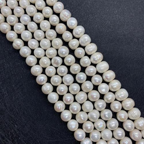 Naturel d'eau douce perles, perle d'eau douce cultivée, Légèrement rond, DIY & normes différentes pour le choix, blanc Environ 38 cm, Vendu par brin