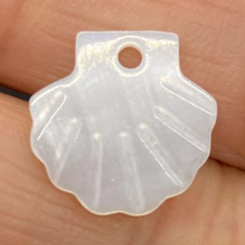 Natural Freshwater Shell Pendants, DIY, white 