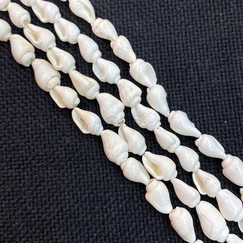 Trumpet Shell Beads, Conch, DIY Approx 38 cm 