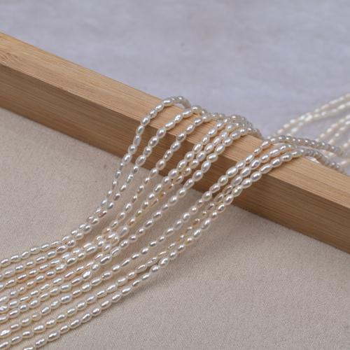 Rice Cultured Freshwater Pearl Beads, fashion jewelry & DIY, white, Length about 2-2.5mm Approx 37-38 cm 