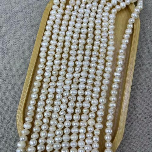 Naturel d'eau douce perles, perle d'eau douce cultivée, Légèrement rond, bijoux de mode & DIY, blanc, Length about 5-6mm, Environ Vendu par brin