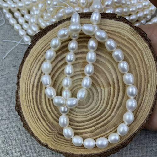Rice Cultured Freshwater Pearl Beads, fashion jewelry & DIY Length about 7-8mm, Approx 