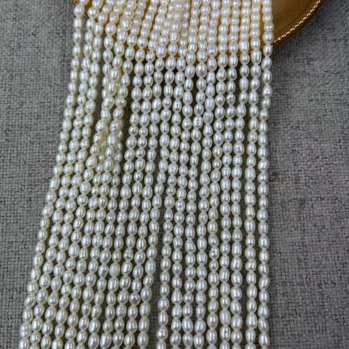 Rice Cultured Freshwater Pearl Beads, fashion jewelry & DIY white Approx 38 cm 
