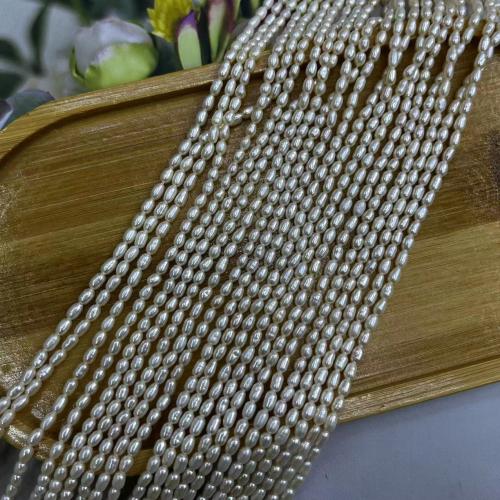 Rice Cultured Freshwater Pearl Beads, fashion jewelry & DIY white Approx 38 cm 