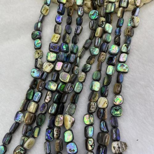 Abalone Shell Beads, DIY Approx 39 cm, Approx 
