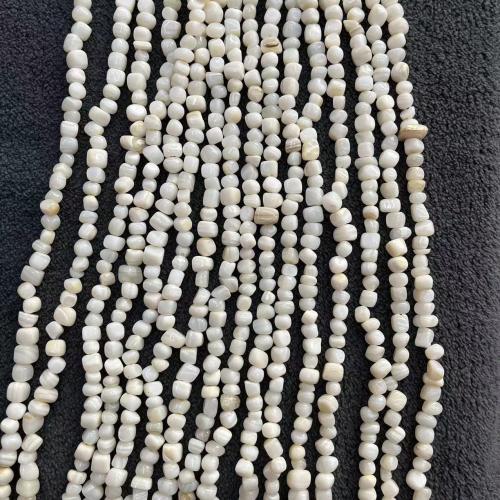 La Perla de Concha Natural, Concha de agua dulce, Bricolaje, Blanco, about:5-6mm, aproximado 98PCs/Sarta, Vendido por Sarta