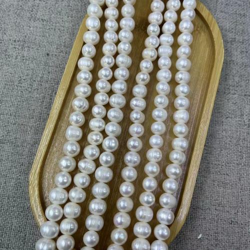 Naturel d'eau douce perles, perle d'eau douce cultivée, Légèrement rond, bijoux de mode & DIY, blanc, Length about 8-9mm, Environ Vendu par brin