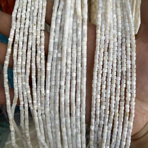 Perles en coquille naturel, coquille d'eau douce, pilier, bijoux de mode & DIY & normes différentes pour le choix, blanc, Vendu par brin