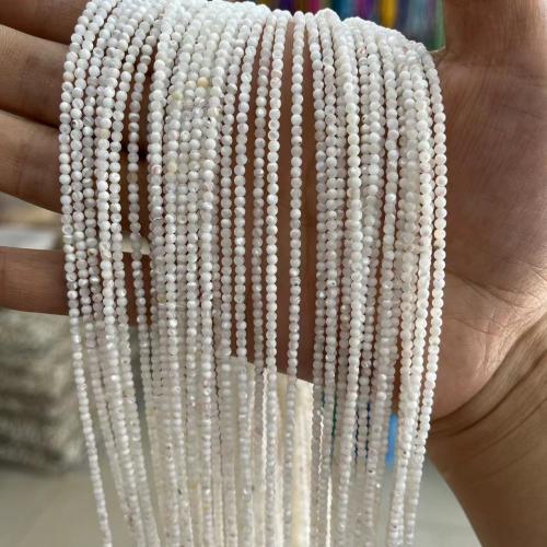 Natural Freshwater Shell Beads, Round, fashion jewelry & DIY white 