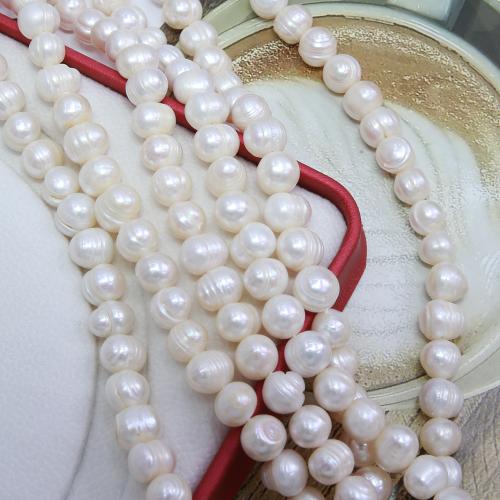Naturel d'eau douce perles, perle d'eau douce cultivée, Légèrement rond, bijoux de mode & DIY, blanc, Length about 10-11mm Environ 38 cm, Vendu par brin