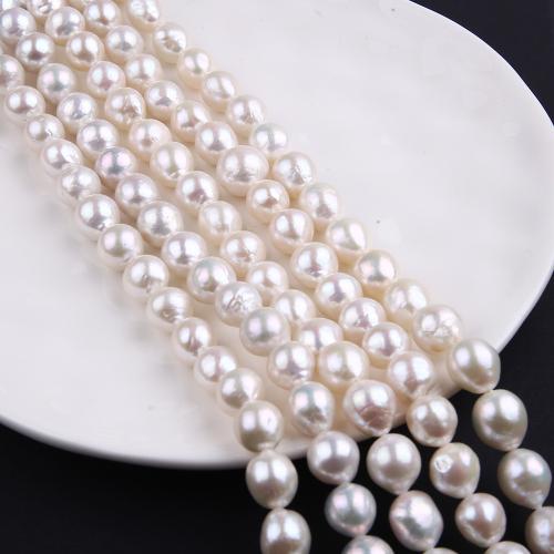 Naturel d'eau douce perles, perle d'eau douce cultivée, Légèrement rond, bijoux de mode & DIY, blanc, Length about 9-10mm Environ 38 cm, Vendu par brin