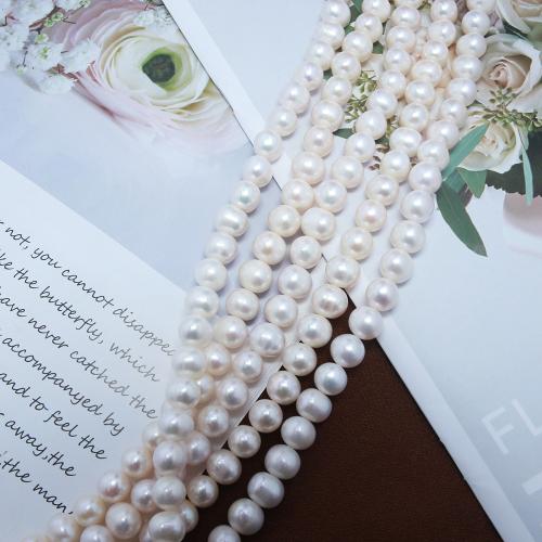 Naturel d'eau douce perles, perle d'eau douce cultivée, Légèrement rond, bijoux de mode & DIY, blanc, Length about 10-11mm Environ 38 cm, Vendu par brin