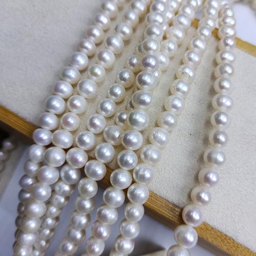 Naturel d'eau douce perles, perle d'eau douce cultivée, Légèrement rond, bijoux de mode & DIY, blanc, Length about 7-8mm Environ 38 cm, Vendu par brin
