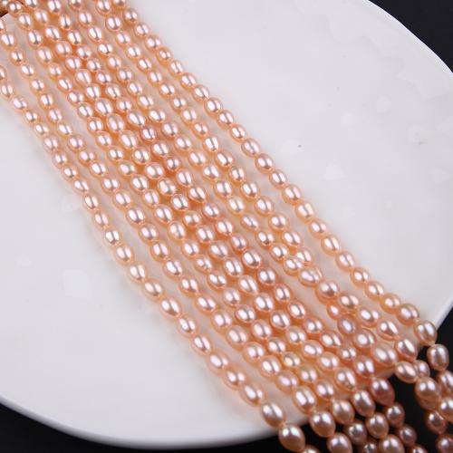 Rice Cultured Freshwater Pearl Beads, fashion jewelry & DIY, pink, Length about 5-5.5mm Approx 38 cm 