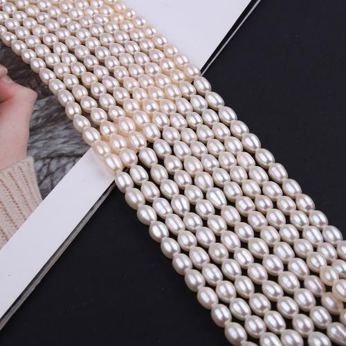 Rice Cultured Freshwater Pearl Beads, fashion jewelry & DIY, white, Length about 6-6.5mm Approx 38 cm 